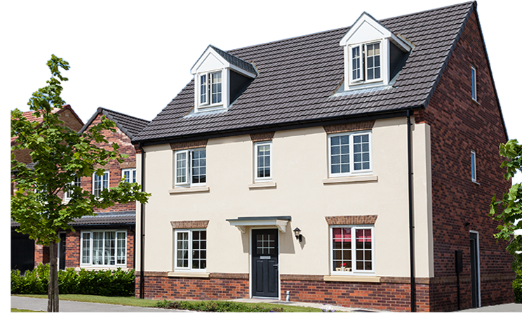 A modern home with a tree in the front yard.